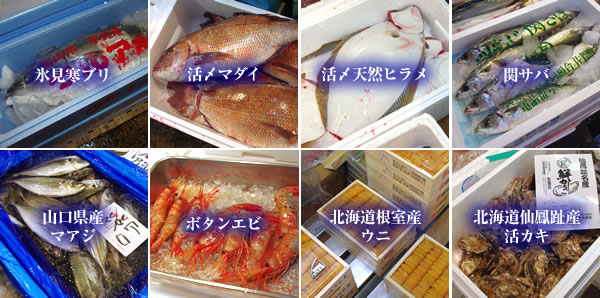pack1_sashimi